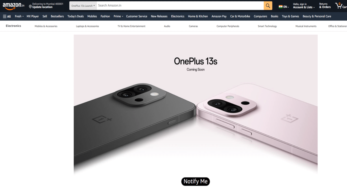 oneplus 13s