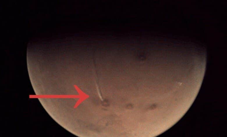 NASA