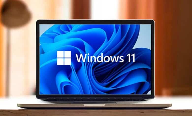 Windows 11