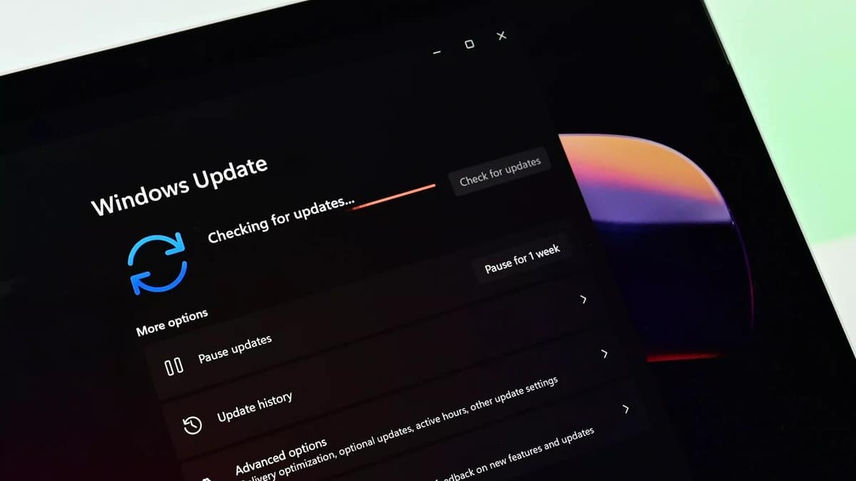 Windows 11 Adaptive Energy Saver