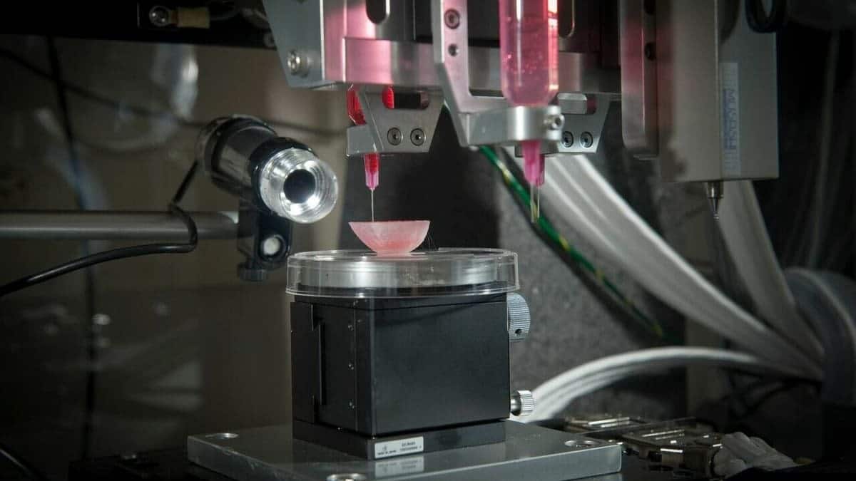 3D Yazıcıyla Hastaya Özel Organ Üretme Dönemi Başladı