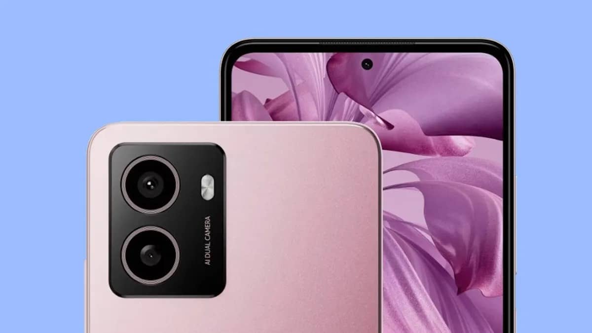 HMD Bold