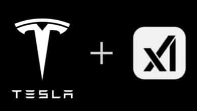 Tesla Grok