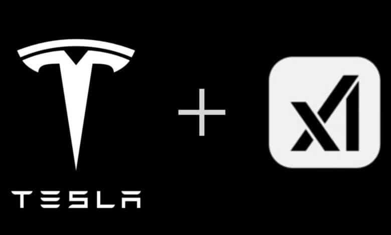 Tesla Grok