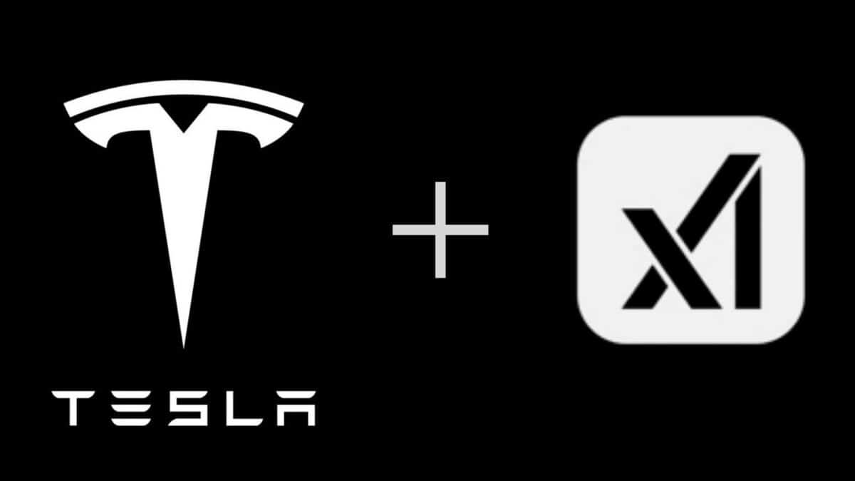 Tesla Grok