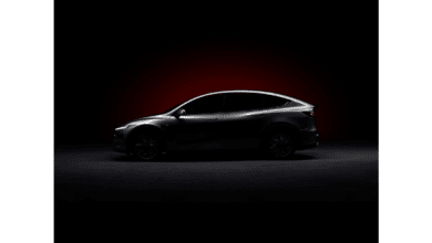 Tesla Model Y L Göründü