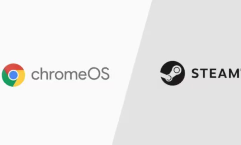 Chromebook Steam