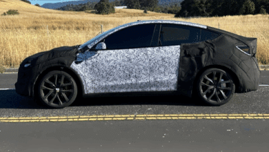Model Y Performance