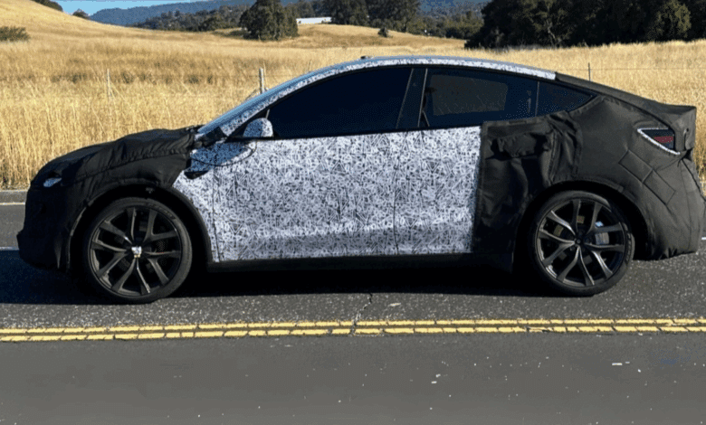 Model Y Performance