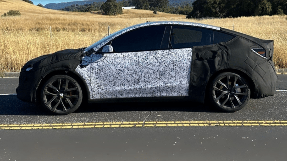 Model Y Performance