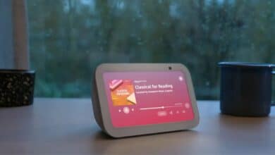 Amazon Echo Resmen İnterneti Sömürüyor