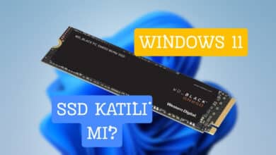 Windows 11 SSD’leri Öldürmekle Suçlanıyor