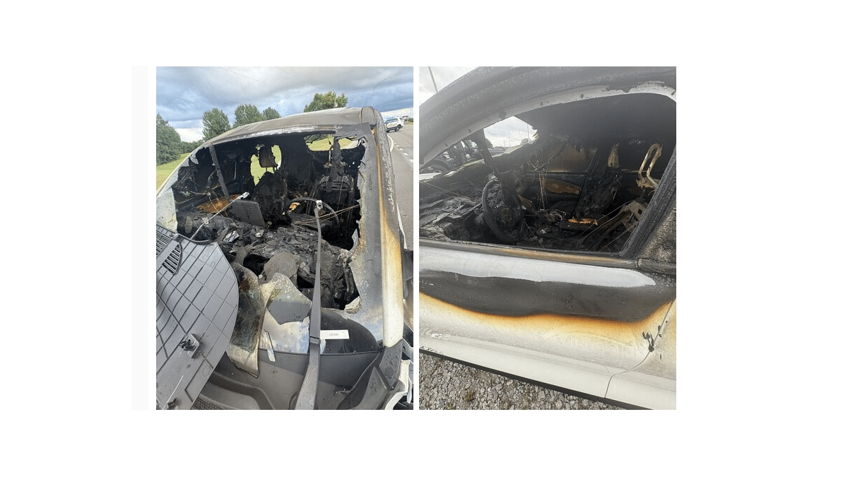 Bu Sefer de Ford Mustang Mach-E Alev Aldı