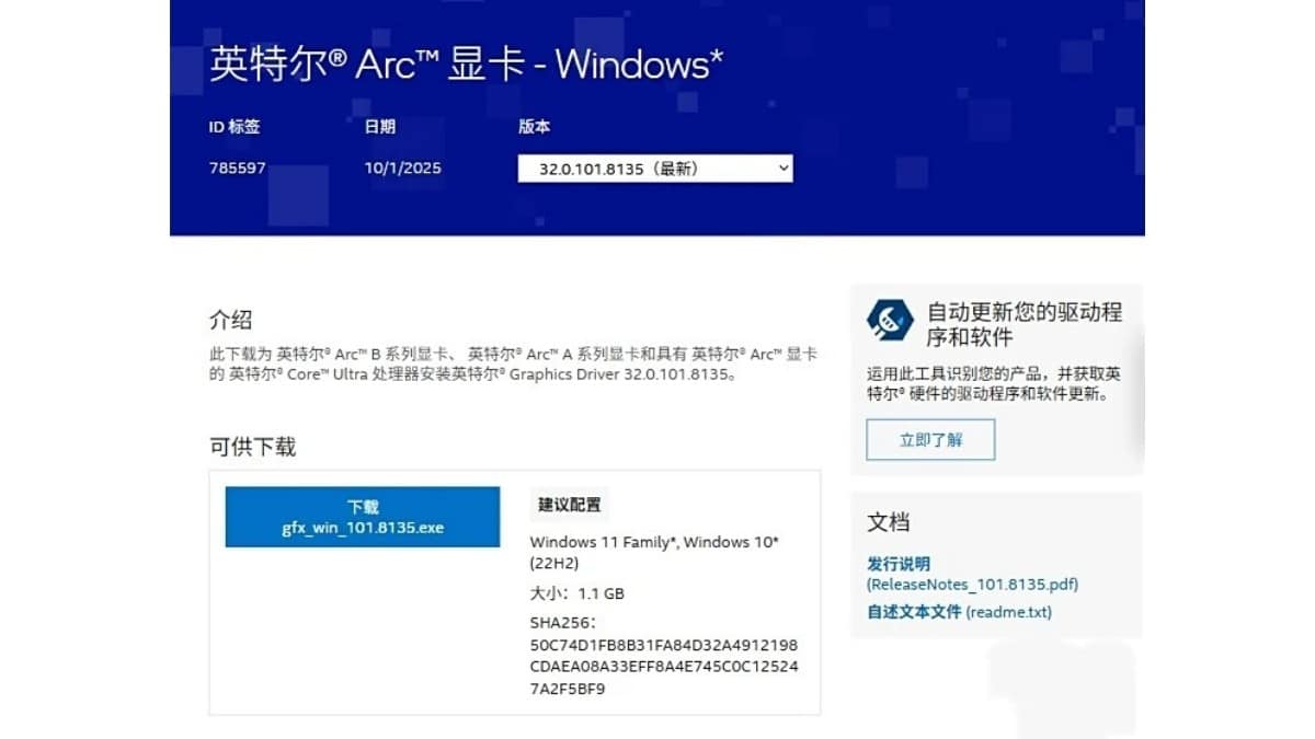 Intel Arc 32.0.101.8135 Güncellemesi 