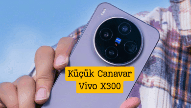 Vivo X300