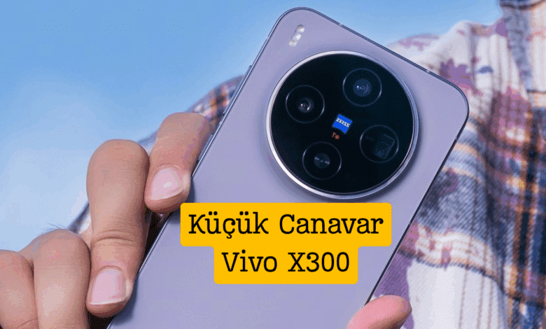 Vivo X300