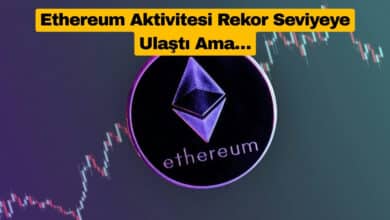 Ethereum Aktivitesi Rekor Seviyeye Ulaştı Ama…