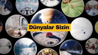 Google Project Genie