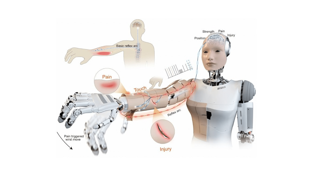 Robotlar Artık Acıyı Hissedebilecek: Nasıl Mı?
