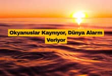 Okyanuslar Kaynıyor, Dünya Alarm Veriyor