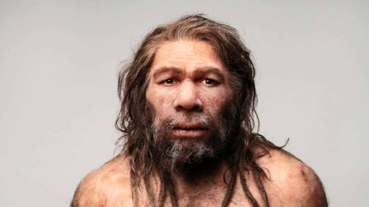 Neandertaller Sanılandan Daha Zeki Çıktı