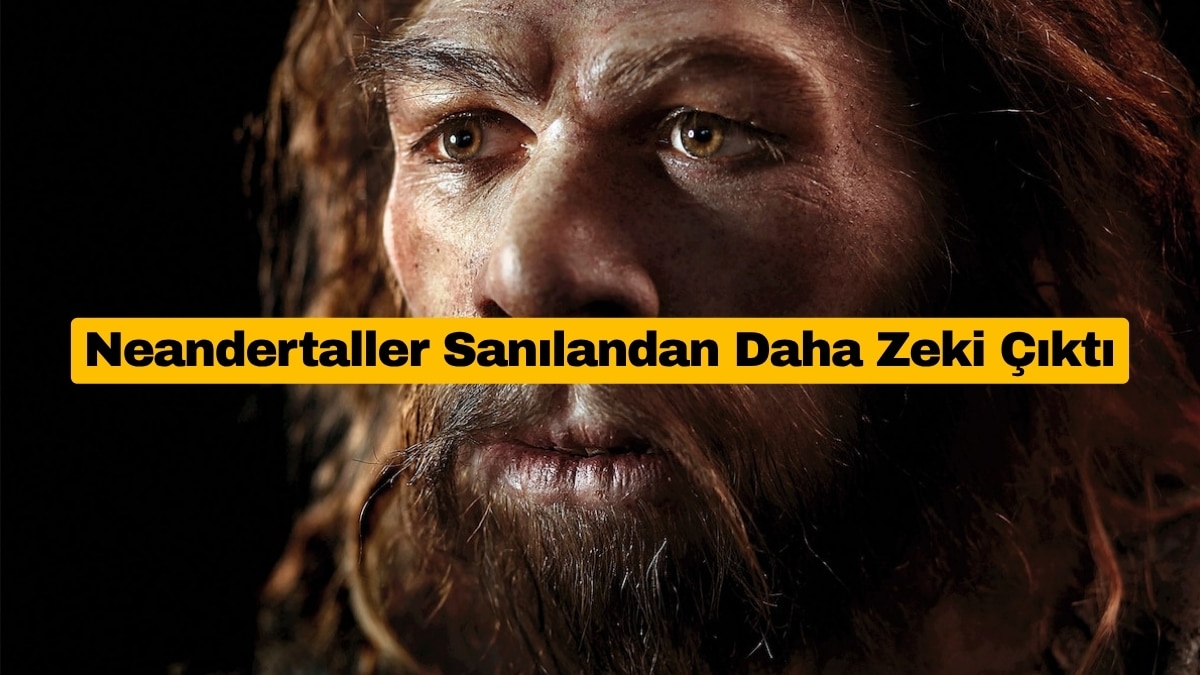 Neandertaller Sanılandan Daha Zeki Çıktı