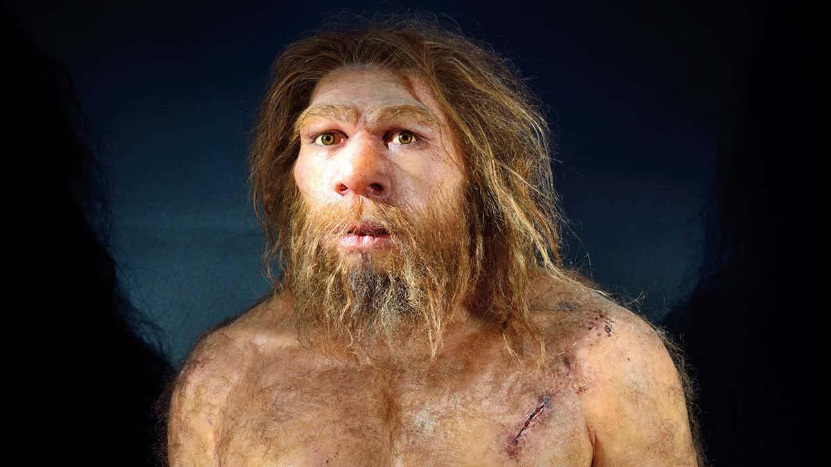 Neandertaller Sanılandan Daha Zeki Çıktı
