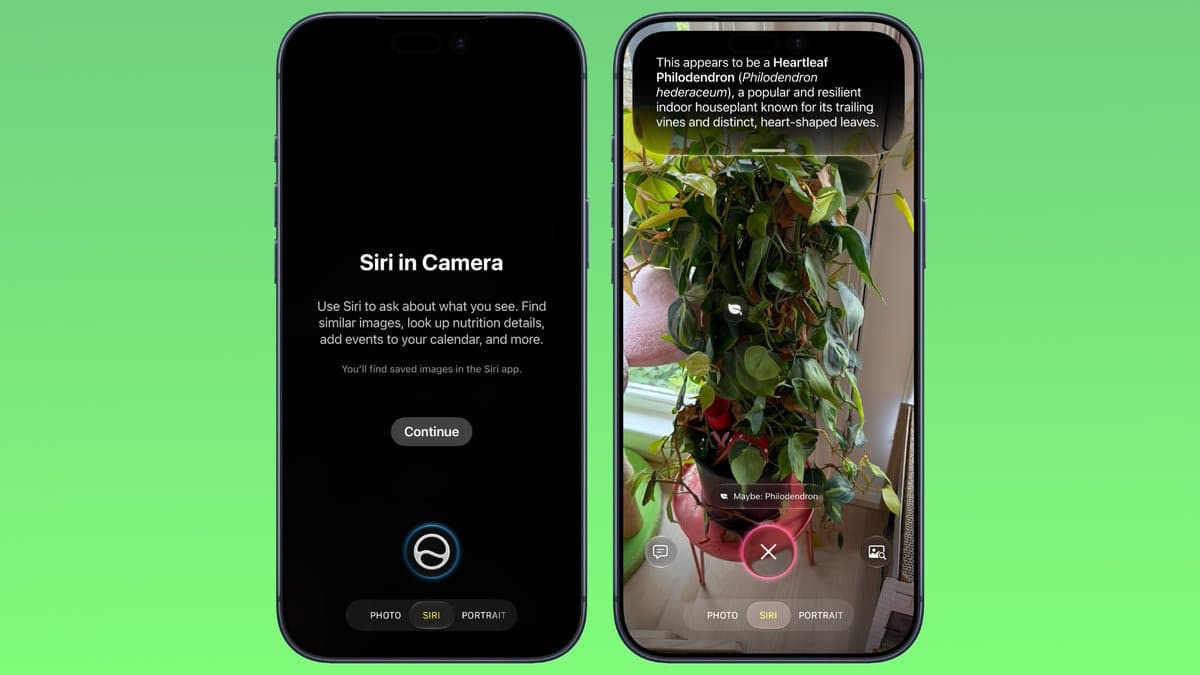 Siri iPhone Kamerasına Taşındı: İşte Yetenekleri