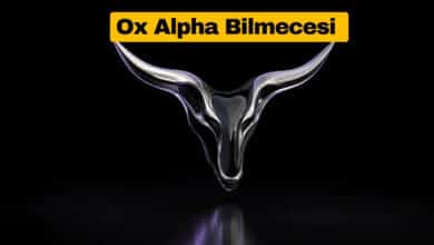 Ox Alpha’yı Kimin Yaptığı Belli Değil, Kodların Nereye Gittiği de