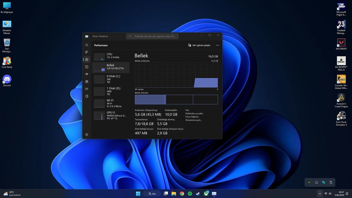 Windows 11